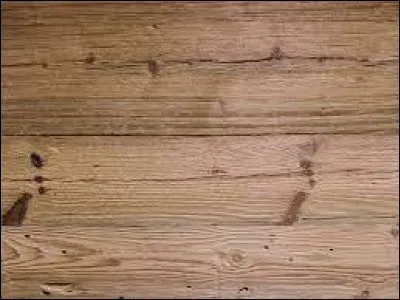 On recherche le prénom d'une célèbre danseuse :