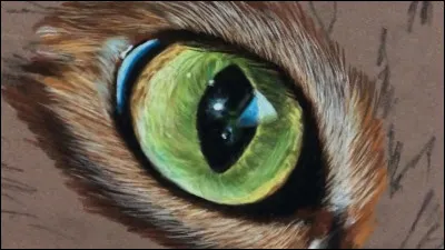 La couleur de tes yeux (en tant que chat) serait...