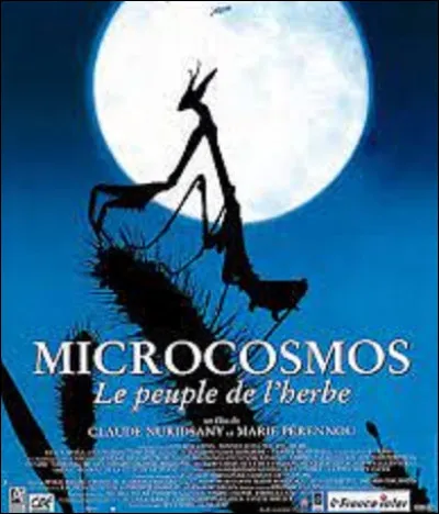 Ce 23 septembre, ''Microcosmos : Le Peuple de l'herbe'' et ''Les Enfants de Lumière'' sont les deux premiers films à sortir en DVD.