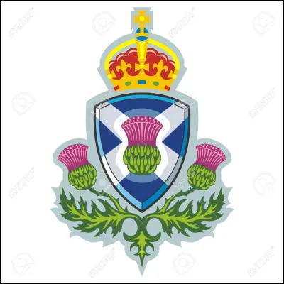 Le chardon est l'emblème de l'équipe de rugby du Pays de Galles.