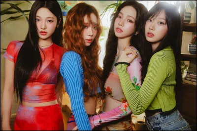 Avec quelle idole voudrais-tu être ami(e) ?