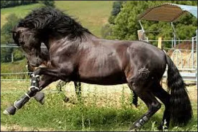 Quel est ton défaut n°1 ?