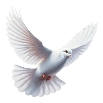 Encore un oiseau, mais c'est le dernier, promis... qui représente-t-il ?