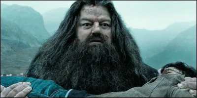 On va te mettre la marque des ténèbres, tu dis :