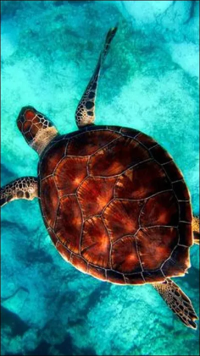 Quel endroit pr&eacute;f&egrave;res-tu ?