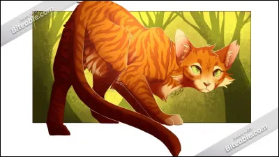 De qui Étoile de Feu est-il amoureux ?