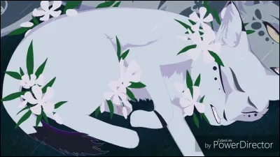 Qui est la sur de Pelage de Neige ?