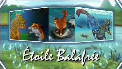 Dans quel hors-série voyons-nous la vie d'Étoile Balafrée ?