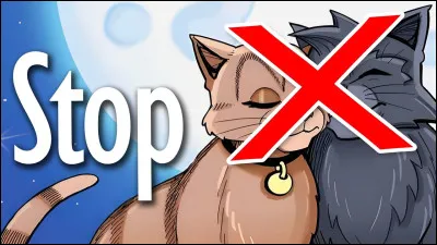 Si la belle il Fleuri te déclare ses sentiments, que fais-tu ?