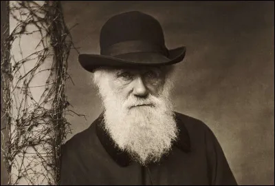 Vrai ou faux ? Charles Darwin est mort à 47 ans.