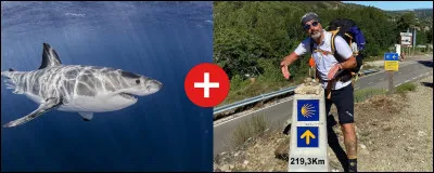 Quelle est la bonne définition de ce mot composé ?