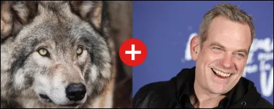 Quelle est la bonne définition de ce mot composé ?