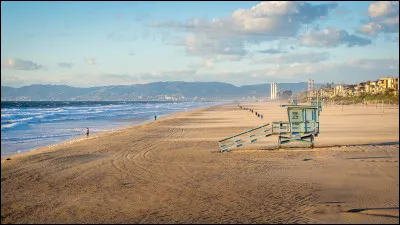 Sur la plage [...], les coquillages échoués témoignaient de la richesse marine.