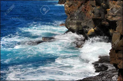 Au bord de la falaise [...], les vagues s'écrasaient avec force sur les rochers.
