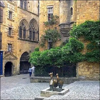 Dans quelle ville peut-on aller à la place aux Oies ?