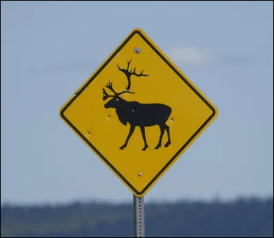 Dans quel pays &ecirc;tes-vous ?