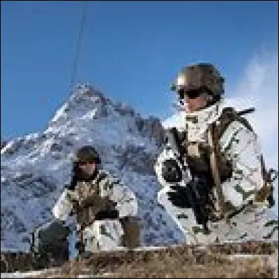 Qu'est-ce qu'un halbran ?