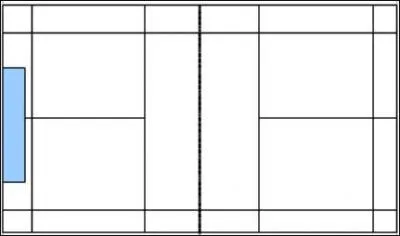 Le volant tomb en zone bleue est jug ' out ' par l'arbitre, il s'agit d'un match