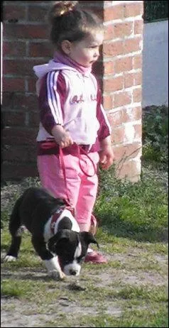 Quel ge minimum faut-il avoir pour conduire un american en utilisation ?