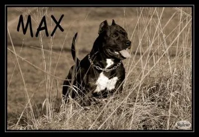 Quel est le premier 'american'  avoir accd  la classe travail en exposition nationale ?