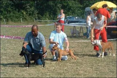 Quel est le responsable de la commission utilisation  l'ASTC ?