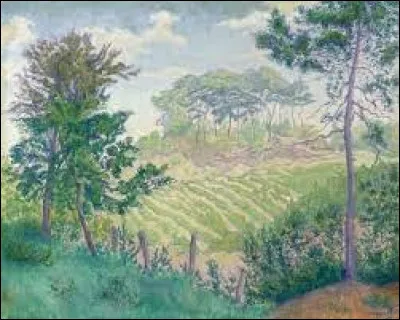 Qui a peint "Le champ de vignes ou les vignobles sous les pins ou paysage d'été" ?