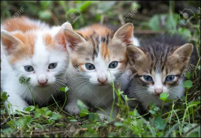 Qui sont ses enfants ?