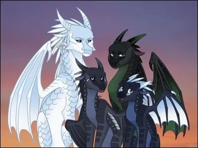 Quel est ton caractère ?