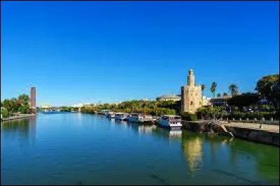 Quel fleuve passe à Séville ?