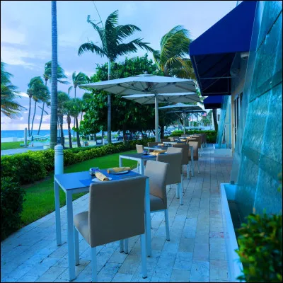 Quel est le titre de cette chanson de Chris Isaak ?