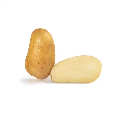 Comment s'appellent ces légumes ?