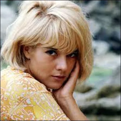 Avec quel célèbre chanteur Sylvie Vartan a-t-elle été en couple entre 1965 et 1980 ?