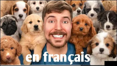 Quel est le prénom du caméraman de MrBeast ? Il apparaît souvent dans ses vidéos.