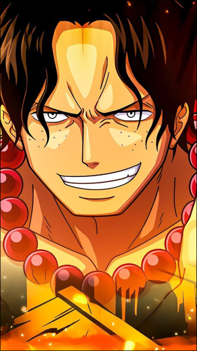 Qui est le frère de Luffy ?