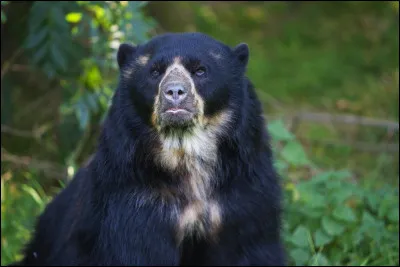 J'espère que vous allez y voir clair !