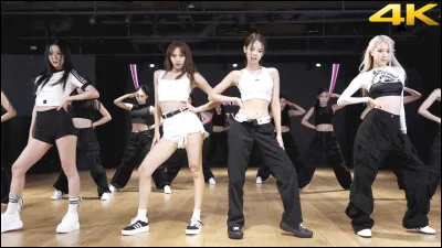 Dans le M/V, qui porte un pantalon à fleurs durant le deuxième refrain ?