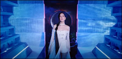 Qui voit-on au tout début du M/V ?