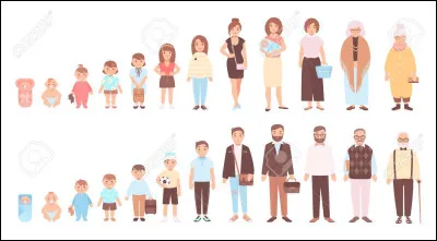 Sa durée moyenne de vie est de 12-15 ans.