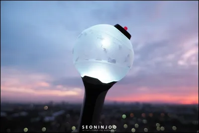 Quel groupe a ce lightstick ?