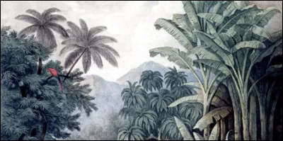 Si je vous dis la toile, à quoi cela vous fait-il penser ?