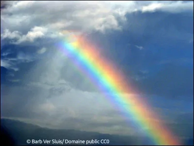 Quelles couleurs préfères-tu ?