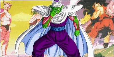 De quelle race est Piccolo ?