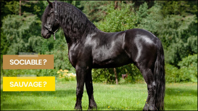 Environ combien de races existe-t-il à ce jour ?