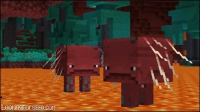Quel est le nom de ces mobs du Nether qui ont la capacité de marcher sur la lave ?