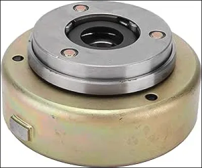 Comment sont les tigres pour David Miller, en 1942 ?