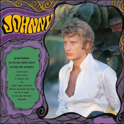 Quel est le titre de cette chanson de Johnny Hallyday ?