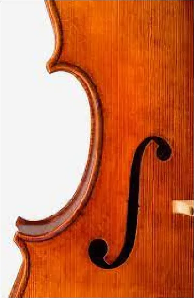 Comment s'appelle cette partie du violoncelle ?