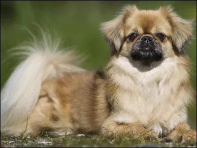 C'est qui celui-là ?