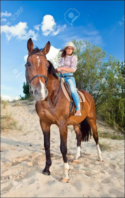 Parmi les propositions suivantes, laquelle est une qualité ?