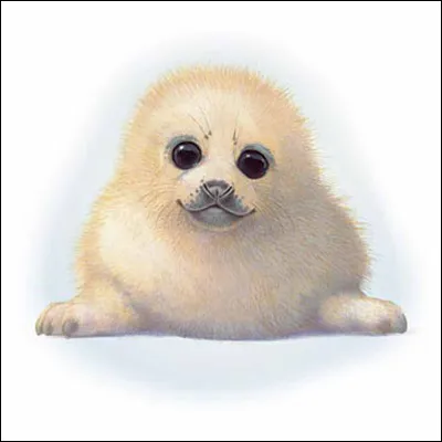 Les petits naissent dans l'eau. Vrai ou faux ?